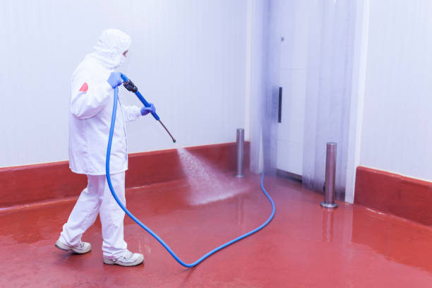 Best Spring Cleaning  in Greenlawn, NY